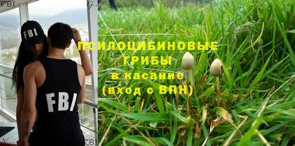 амф Алзамай