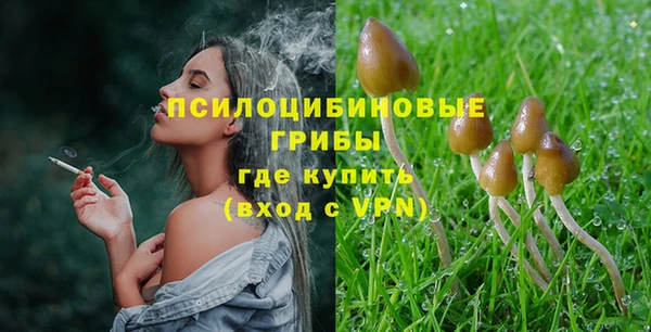 ПСИЛОЦИБИНОВЫЕ ГРИБЫ Абинск