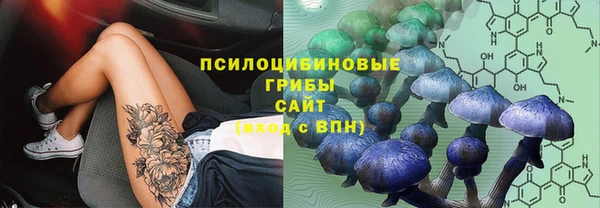 амф Алзамай