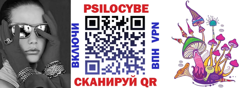 купить закладку  Заводоуковск  Псилоцибиновые грибы Psilocybe 