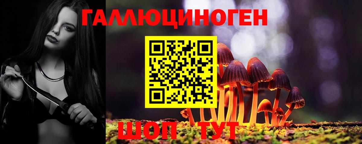 Галлюциногенные грибы Psilocybe Заводоуковск